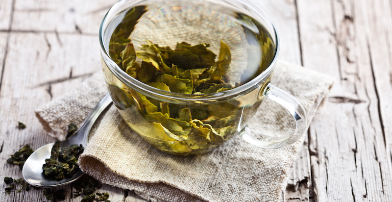 Reading the Future of Web Tea Leaves