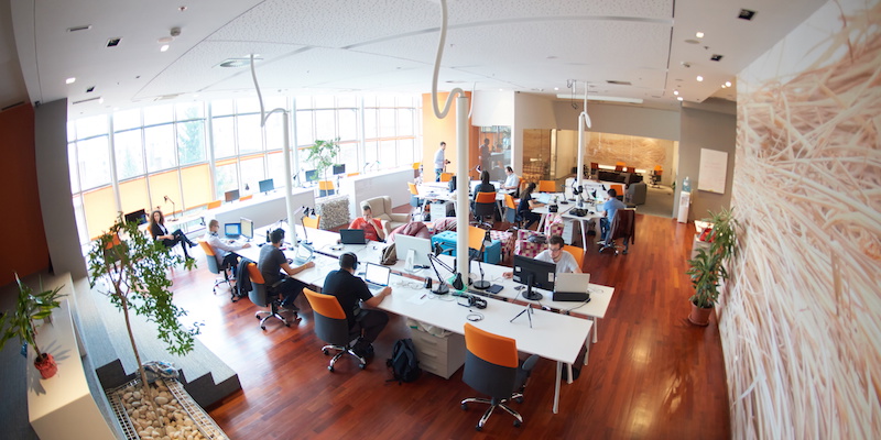 Authentic Organization