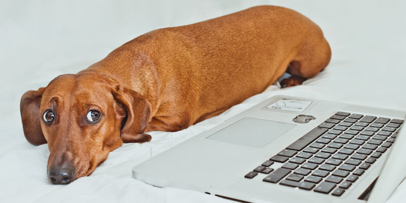 How to Stop Procrastinating