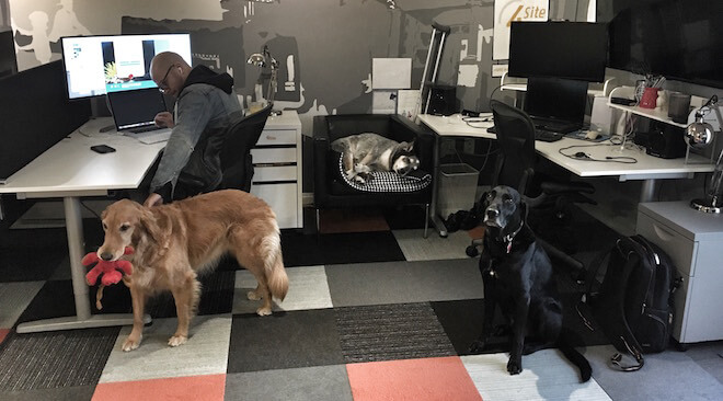 How A Creative Agency Stays In The Green Using Redbooth
