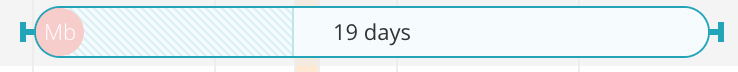 task progress displayed in a colored bar using Gantt chart software
