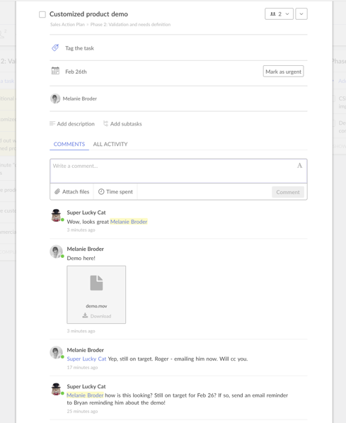 Task Details in Redbooth - Getting Started with Project Management