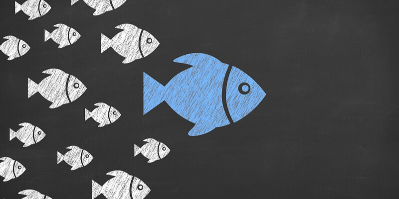 ¿Qué es el marketing de influencers? ¿De verdad funciona?